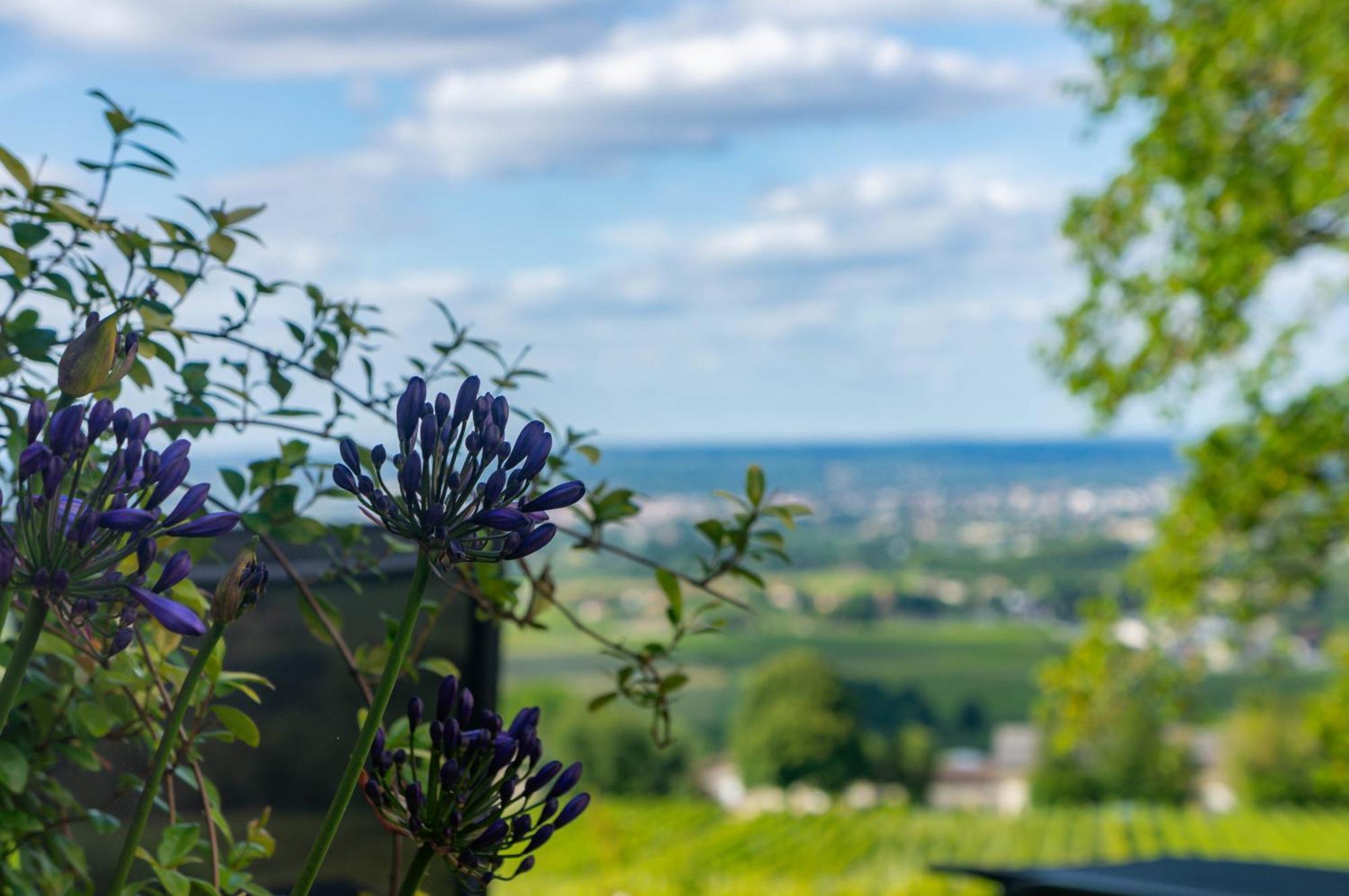 Bed & Breakfast Le Domaine De La Tour Des Vents Bergerac